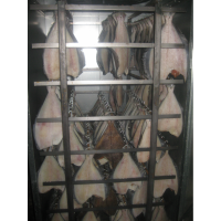 ООО"Северное сияние"